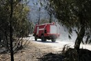 Φωτιά στο Άλσος Βεΐκου - Συναγερμός στην πυροσβεστική