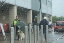 Άνδρας security κράτησε ομπρέλα σε σκύλο για να μη βραχεί και έγινε παγκόσμιο viral