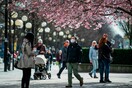 Ανοσία της αγέλης στον κορωνοϊό - Γιατί η μεγαλύτερη ευρωπαϊκή μελέτη την αμφισβητεί