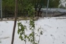 Ξαφνική χαλαζόπτωση στην Ξάνθη - Εντυπωσιακές εικόνες και βίντεο