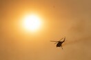 Έρευνα: Συχνότεροι και μεγαλύτεροι σε διάρκεια οι καύσωνες στον κόσμο - Τα τελευταία 70 χρόνια