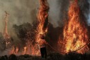 Πυρκαγιά στις Κεχριές: Δύσκολη μάχη με τις φλόγες - Εκκενώθηκαν 5 οικισμοί