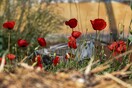 Επιστροφή στην κανονικότητα