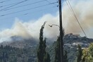 Ζάκυνθος: Μεγάλη φωτιά σε δασική έκταση - Κοντά σε διάσπαρτες κατοικίες