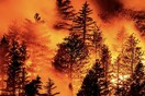 Βιβλική καταστροφή στο Όρεγκον: Χιλιάδες κάτοικοι ψάχνουν καταφύγιο από τις φωτιές (ΦΩΤΟΓΡΑΦΙΕΣ)