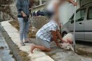 Ένταση στα δικαστήρια Πειραιά - Αμετανόητος ο καθηγητής που μαχαίρωσε σκύλο: «Θα αστειεύεστε»
