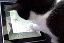 Ζωάκια παίζουν παιχνίδια στο iPad