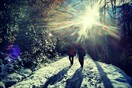 INSTA#LIFO: Τετάρτη 12 Δεκεμβρίου 