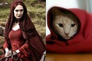 Πώς θα ήταν οι πρωταγωνιστές του Game of Thrones αν ήταν γάτες;