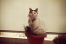 INSTA#LIFO: Tρίτη 9 Οκτωβρίου 