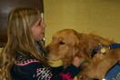 Τα Golden Retrievers παρηγορούν τους κατοίκους του Newtown