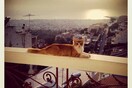 INSTA#LIFO: Τετάρτη 13 Μαρτίου