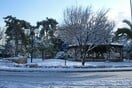 Είναι η Νέα Σμύρνη η καλύτερη συνοικία για να ζεις;