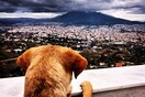 INSTA#LIFO: Κυριακή 27 Ιανουαρίου