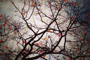 INSTA#LIFO: Τετάρτη 26 Δεκεμβρίου