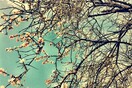 INSTA#LIFO: Πέμπτη 7 Φεβρουαρίου