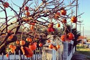 INSTA#LIFO: Παρασκευή 30 Νοεμβρίου