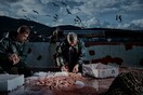 «Fisherman's Blues»: Όταν οι ψαράδες μελαγχολούν