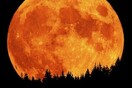 Moonlight...