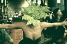 Lady Gaga: Το φυτό