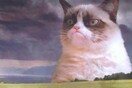 Η πρώτη διαφήμιση με τη διάσημη Grumpy Cat