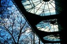 Από τη ρετσινιά στη ρετσίνα 