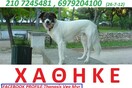 ''Βοηθήστε μας να κάνουμε Πρωτοχρονιά με τη Λάση''