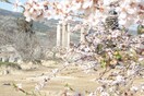 Καλώς...