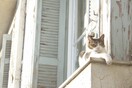 Lazy...