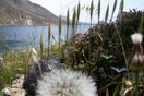Κουφόβραση…