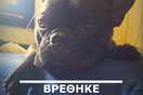 Update: Βρέθηκε ο μικρός Lars 