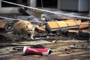 Τα εγκαταλελειμμένα ζώα της Φουκουσίμα