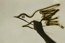Sand Animation