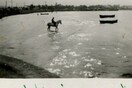 Τζιτζιφιές, 1953