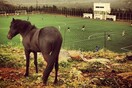 INSTA#LIFO: Σάββατο 6 Απριλίου