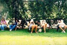 Η βιβλιοθήκη που ξεπετάγεται μπροστά στα μάτια σου 
