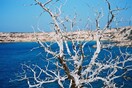 ΚΑΜΕΝΗ ΓΗ