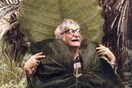 Η Copacabana του Roberto Burle Marx.