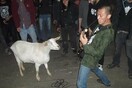 Μια νεκρολογία για την Biquette, την πιο punk rock κατσίκα που έζησε ποτέ