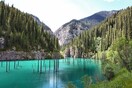 Τα πιο απίστευτα πράγματα στην φύση