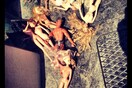 INSTA#LIFO: Τετάρτη 8 Μαΐου