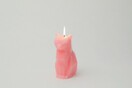 PyroPets: Κάψε τη γάτα και θα δείς ένα διάβολο!