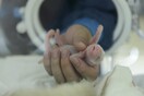 Γέννηση δίδυμων Πάντα στην Κίνα