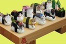 Sushi Cats: To πιο χαριτωμένο, ακαταλαβίστικο wtf των ημερών .