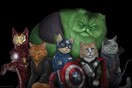 Catvengers