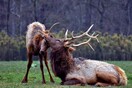 Οι 35 πιο θεαματικές φωτογραφίες από τον διαγωνισμό του National Geographic