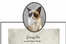 Τέλεια αποσπάσματα από το βιβλίο της «Grumpy Cat»