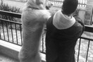 #LIFOPETS (22): Αυτά είναι τα κατοικίδιά μας