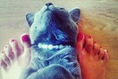 INSTA#LIFO: Τρίτη 23 Ιουλίου