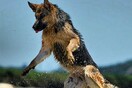 INSTA#LIFO: Παρασκευή 30 Αυγούστου